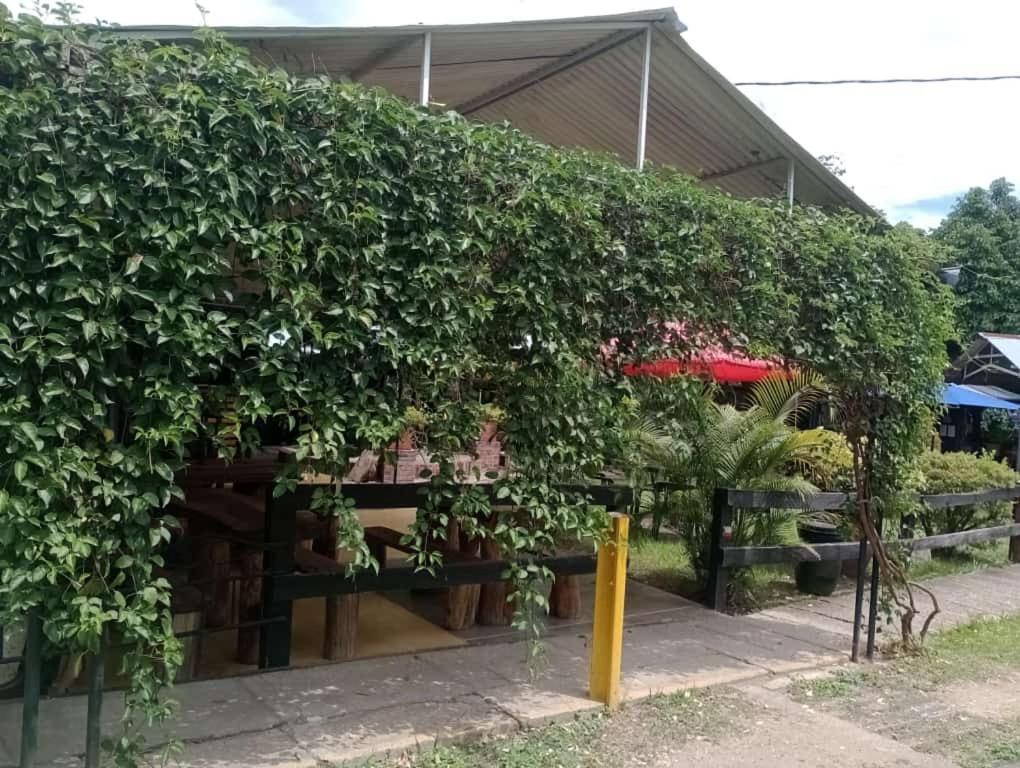 Loma Linda Hotel De Naturaleza La Mesa  Εξωτερικό φωτογραφία